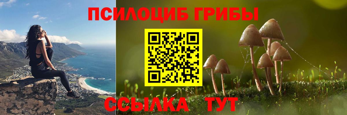Кудрово  Галлюциногенные грибы мицелий  Вход с VPN 